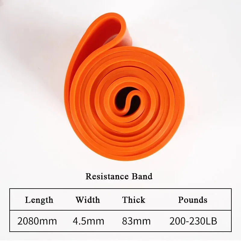Bigzora Heavy Duty Resistance Bands Set for Workout Training