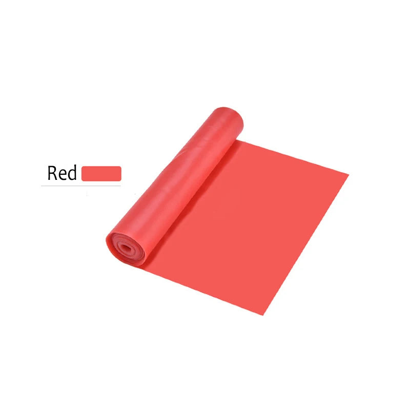Bigzora Resistance Bands for Workout Training and Stretching