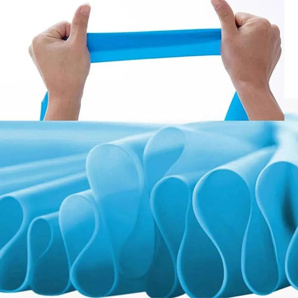 Bigzora Resistance Bands for Workout Training and Stretching